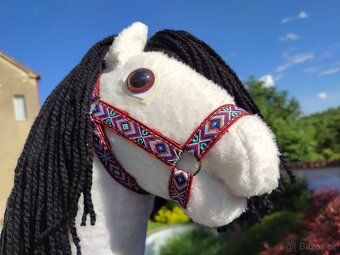 Hobby horse - 2