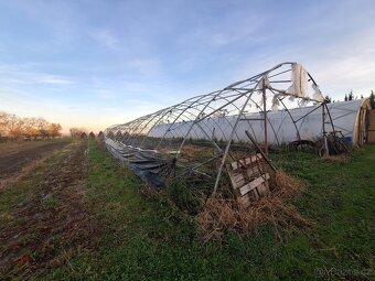 Foliák,foliovník. - 2