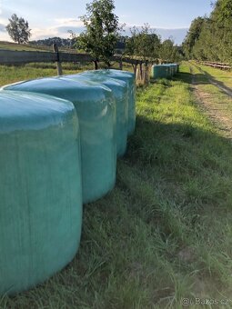 seno a travní senáž - 2