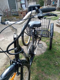 Tříkolka EASYBIKE - 2