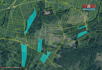 Prodej lesa, 41551 m², Kolinec - 2