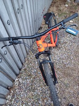 Kellys whip 10 - 2