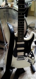Prodám kytaru - 2