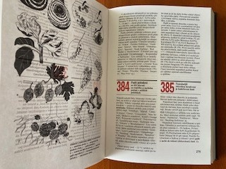 1000 dobrých rad zahrádkářům - 2