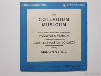 Collegium Musicum - 2