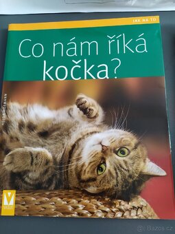 Co nám říká kočka - 2