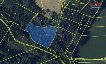 Prodej lesa, 11616 m², Pernštejnské Jestřabí, Maňová - 2
