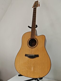 Celomasivní elektroakustická kytara - D333SCE, Pasadena - 2