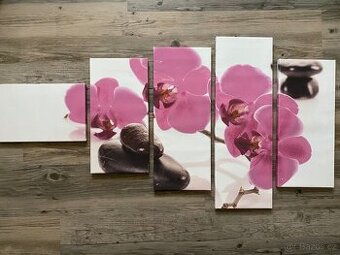 Různé obrazy - ceny a rozměry v textu - 2