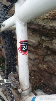 Prodam detske kolo 24 za symbolickou cenu - 2