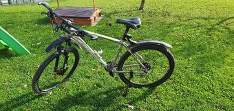 Kolo Author Pegas - 2