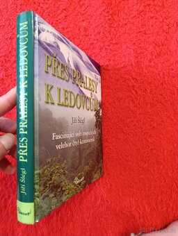 PŘES PRALESY K LEDOVCŮM - 2