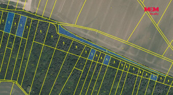 Prodej lesa, 5857 m², Kounice - 2