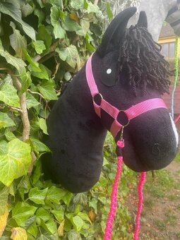 Hobby horse - 2