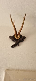 Trofeje - 2
