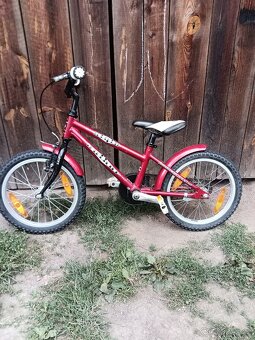 Author Stylo 16" - 2