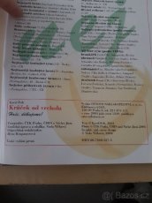 Krůček od vrcholu. Hoši, děkujeme - 2