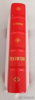 Robert Beholz - Tekumtha - 2