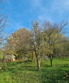 Prodám stavební pozemek, všechny sítě,Prakšice1367m2 - 2