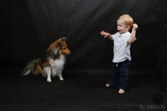 FOTOGRAFOVÁNÍ domácích mazlíčků - 2