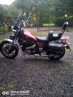 Honda VT 750C Shadow - 2