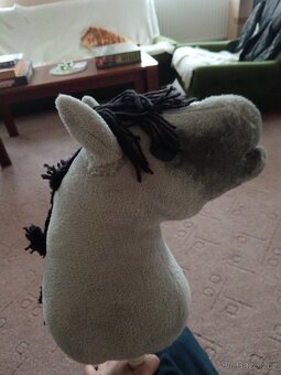 Hobby horse - 2