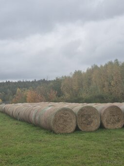 Kulaté balíky sena - 2