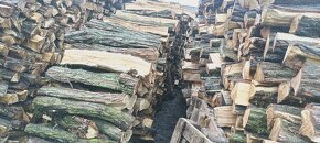 Suché ŠTÍPANÉ palivové dřevo DO KRBU - 2