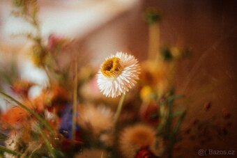 Helios 44-2 - 2