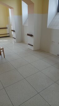 Sanace mokrého, vlhkého zdiva - 2