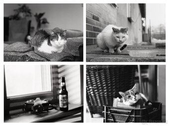 Hasselblad 500 C/M Konvolut – středoformátový set se 3 skly - 2