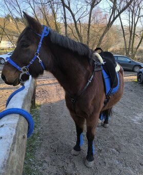 Poprsák / Poprsník - 2