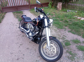 Harley Davidson FXSTC Softail - 2