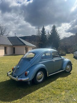 VW Brouk 1957 deluxe - 2