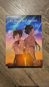 To bylo tvé jméno (manga) - 2