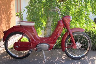 JAWETTA 551 - 2