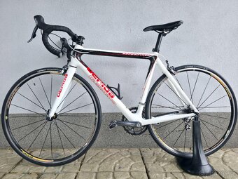 Silniční kolo Gepida Bandon 1100 Carbon – velikost 54cm (M) - 2
