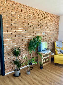 CIHLOVÝ OBKLAD ZE STARÝCH CIHEL (okraj cihly) - 2