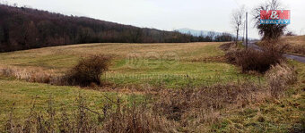 Prodej louky, 8010 m², Třebušín - 2