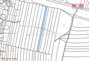 Prodej lesa, 6005 m², Dražíč - 2