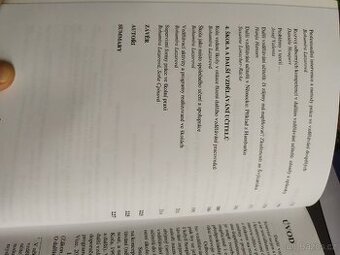 Cesty dalšího vzdělávání učitelů - Bohumíra Lazarová a kol. - 2