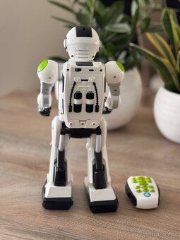 Robot zigi - 2