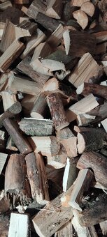 Palivové dřevo suché - 2