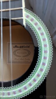 Kytara včetně pouzdra - 2