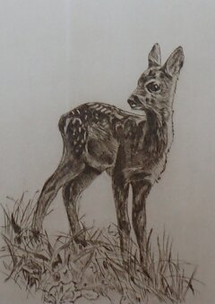 Aleša Vaic - KOUPÍM - 2