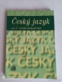 Český jazyk - 2