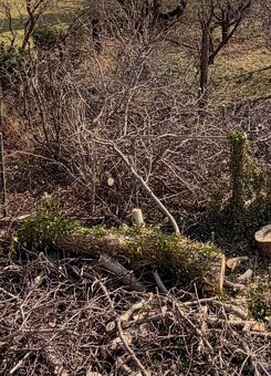 Dřevo na prodej Hošťálkovy - 2