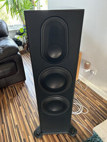 Monitor Audio Platinum PL300 II ( Price: 3500 EUR ) - 2