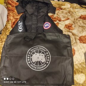 Canada goose - 2