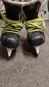 brusle Bauer Vapor 35.5 - 2